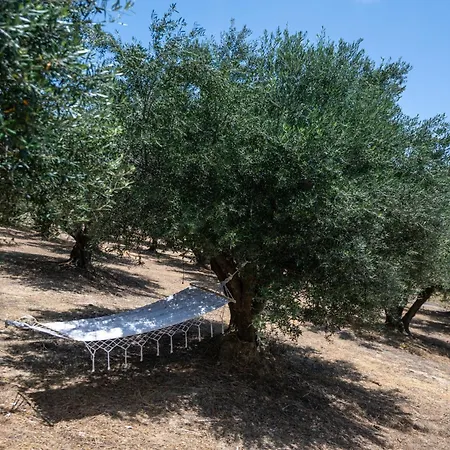 Anima Horizon - Elia * Eleofito