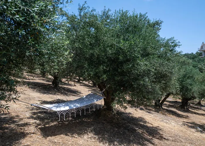 Anima Horizon - Elia * Eleofito